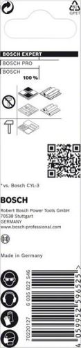 BOSCH EXPERT CYL-9 MultiConstruction 10x200x250 2608901485